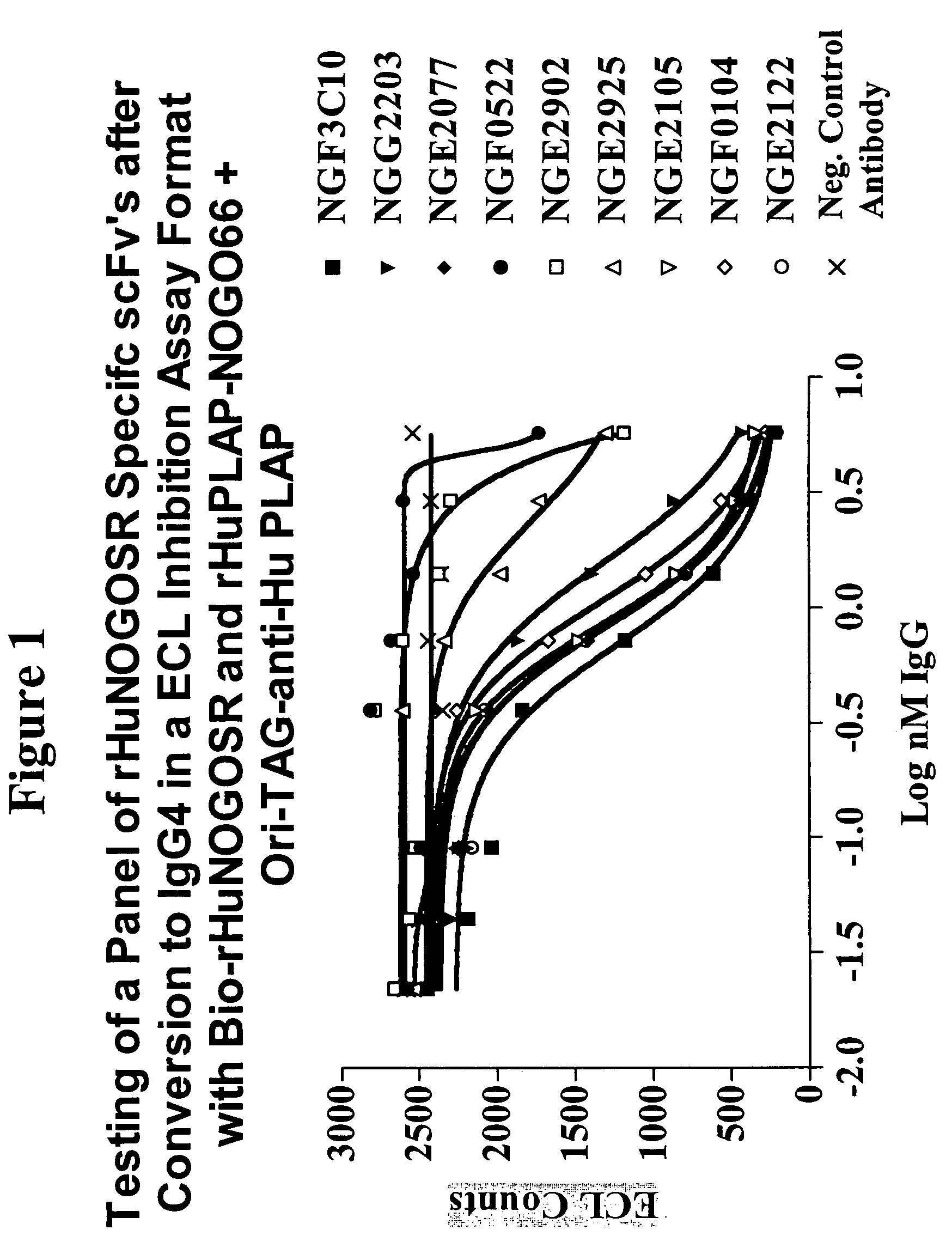 Antibodies against nogo receptor