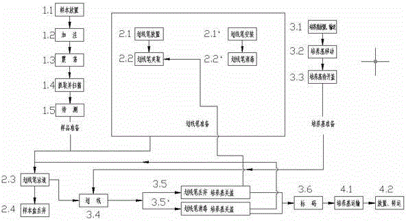 Microbial sample processing and scribing system and method