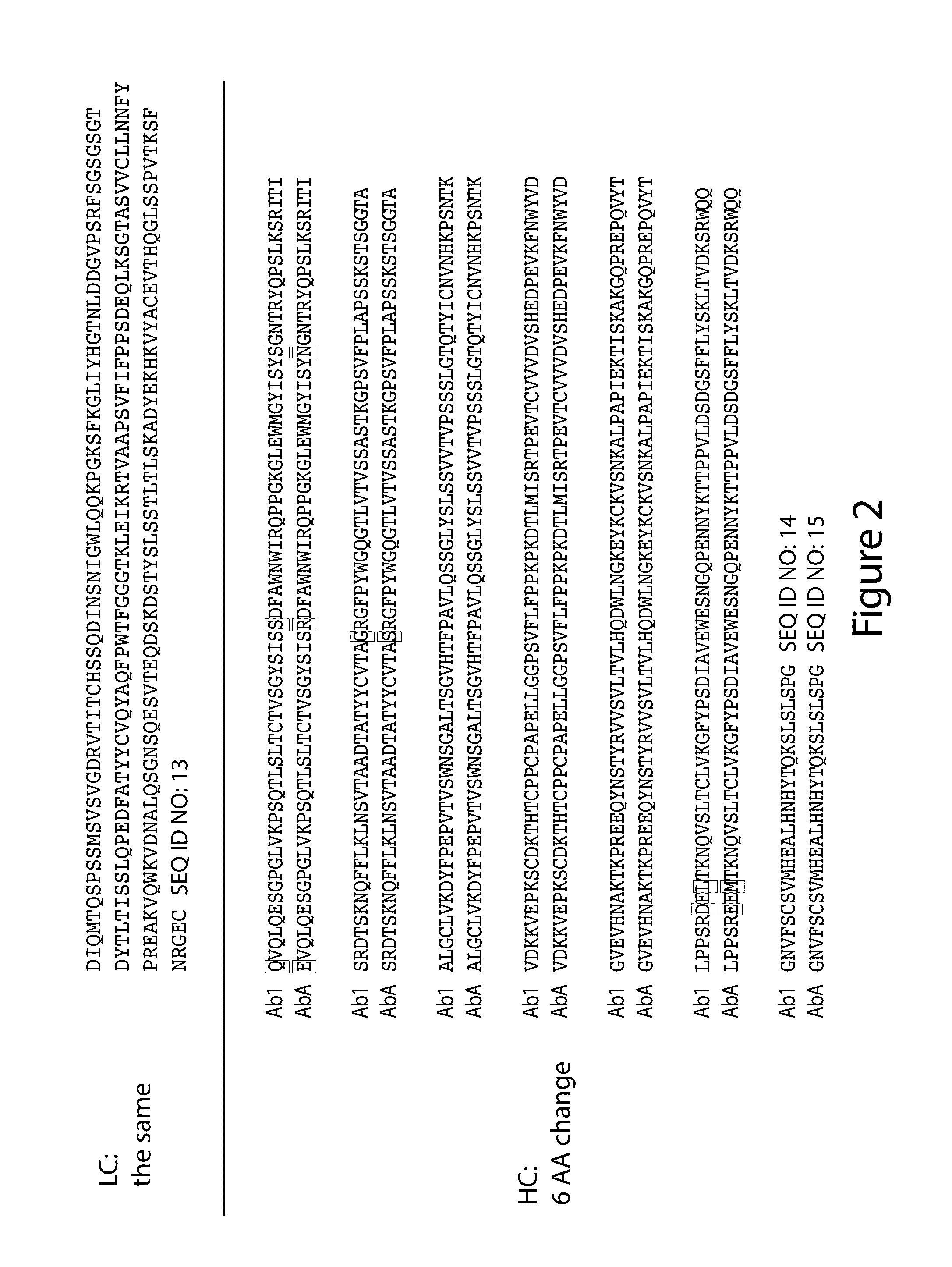 Anti-EGFR antibodies and antibody drug conjugates