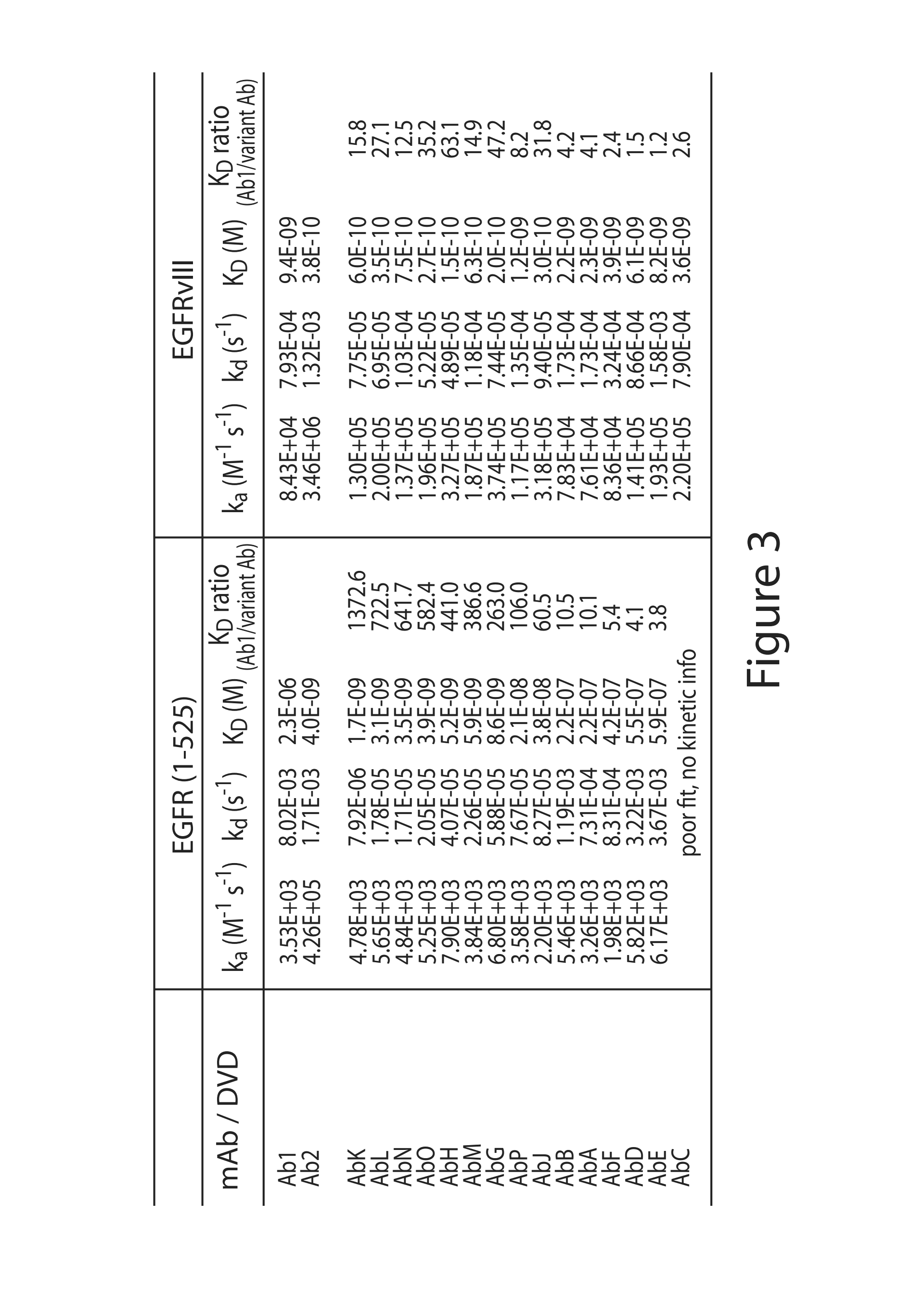 Anti-EGFR antibodies and antibody drug conjugates