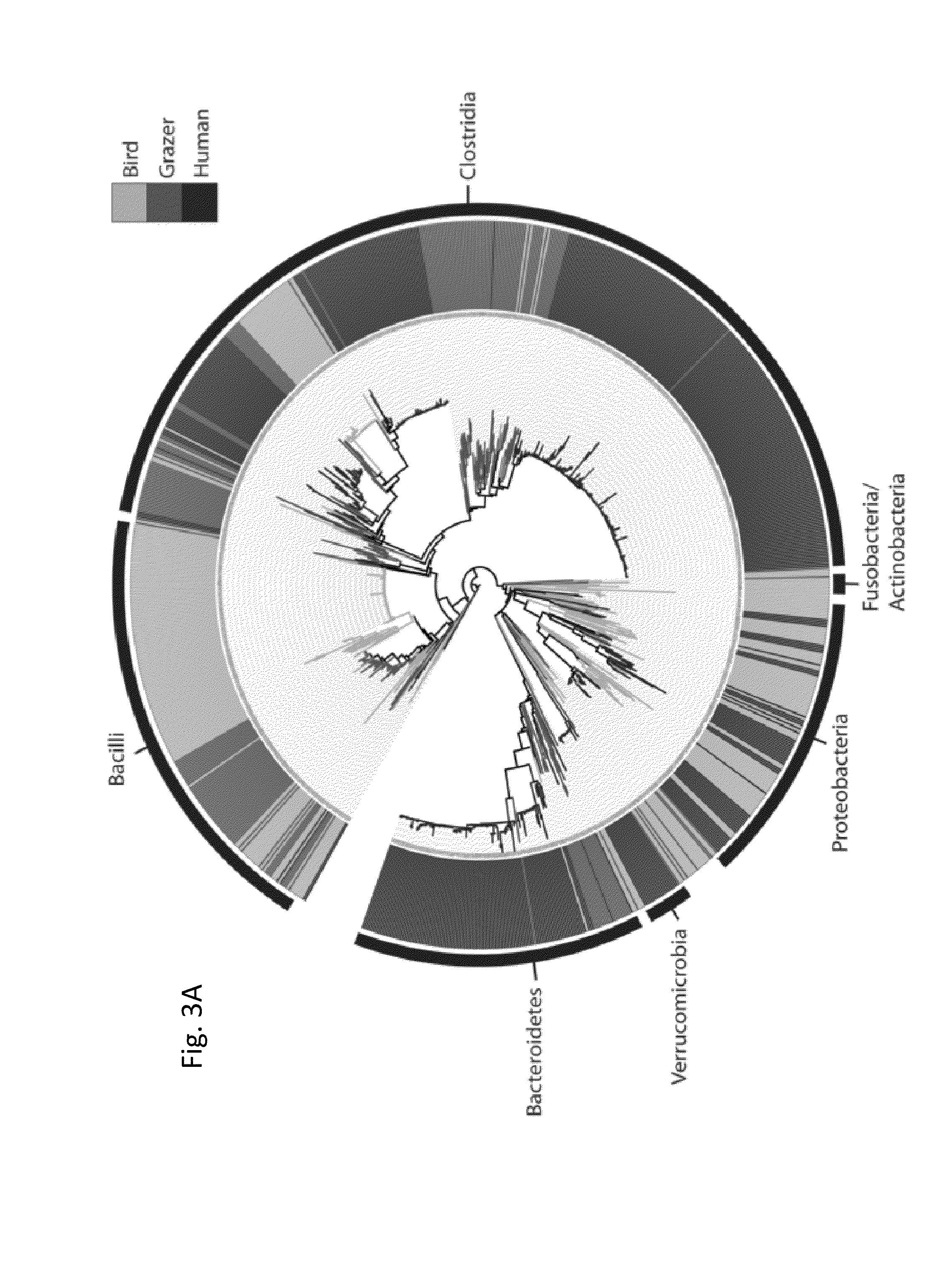 Methods and compositions for identification of source of microbial contamination in a sample