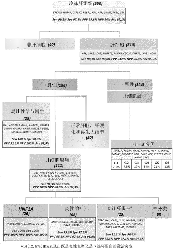 A new method for classification of liver samples and diagnosis of focal nodule dysplasia, hepatocellular adenoma, and hepatocellular carcinoma