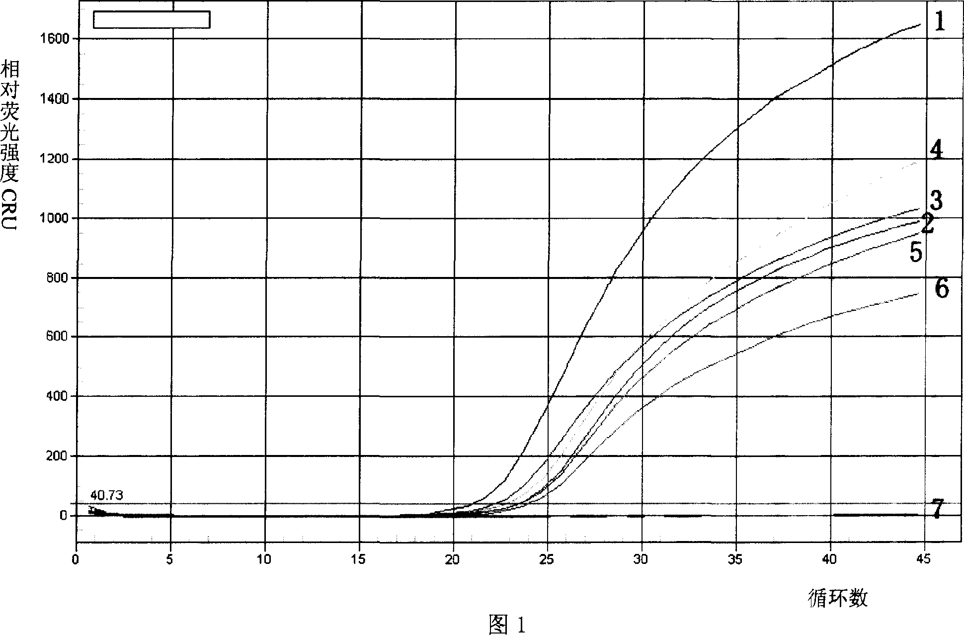 Roundworm egg detecting real-time fluorescence PCR primer and probe