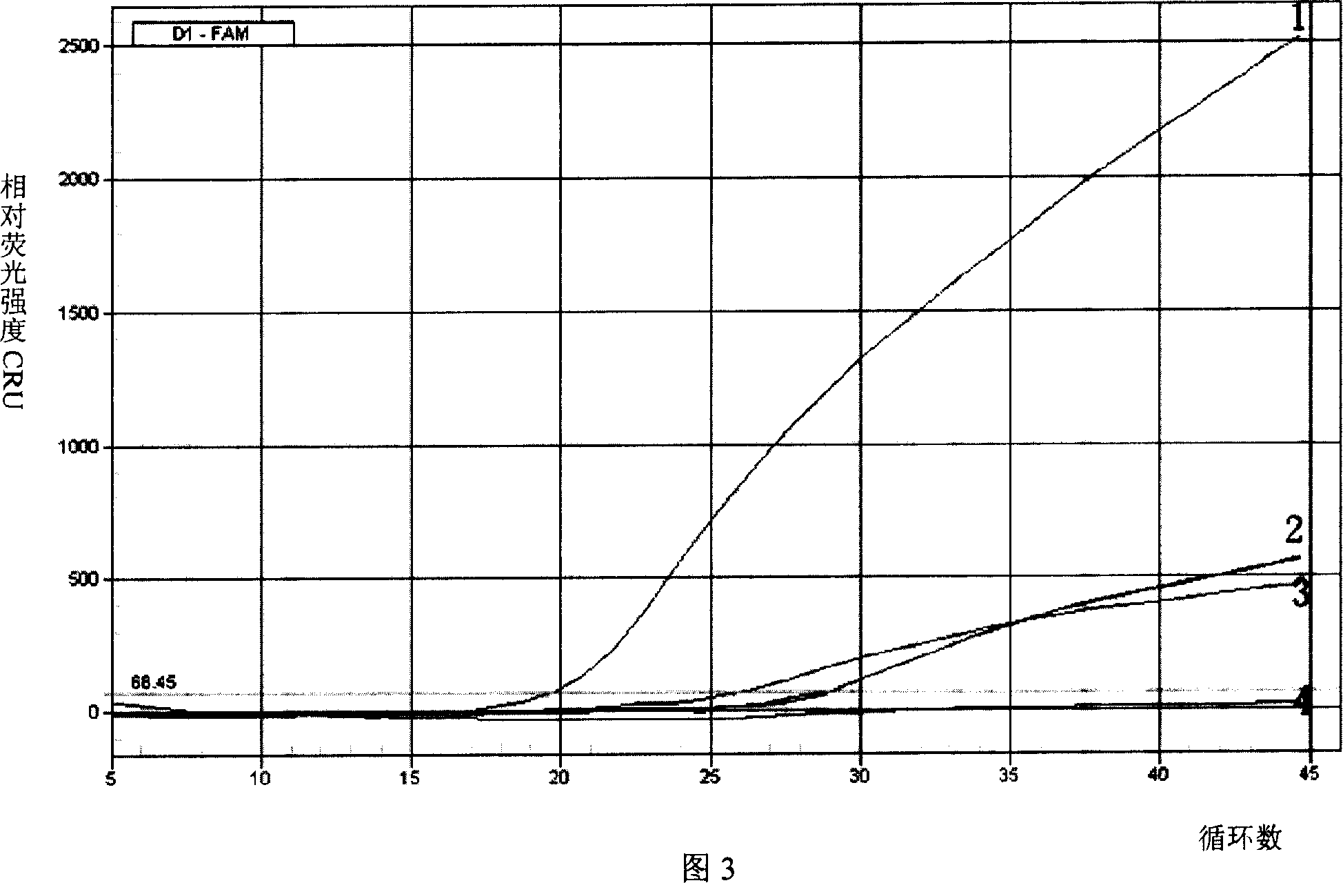 Roundworm egg detecting real-time fluorescence PCR primer and probe