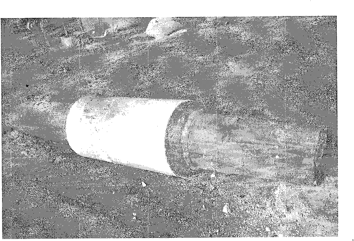 High-speed steel composite roller and casting method thereof