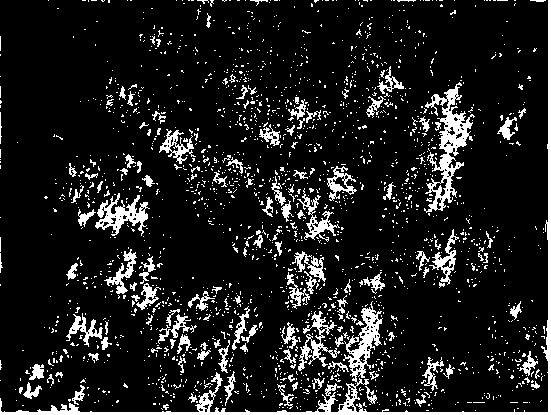 Rare earth element high-entropy alloy material and preparing method thereof