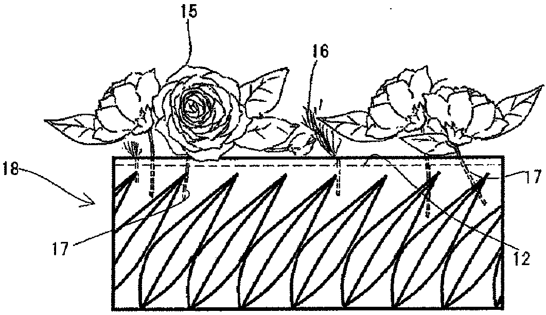 Flower holder, decorative tool and manufacturing method of flower holder