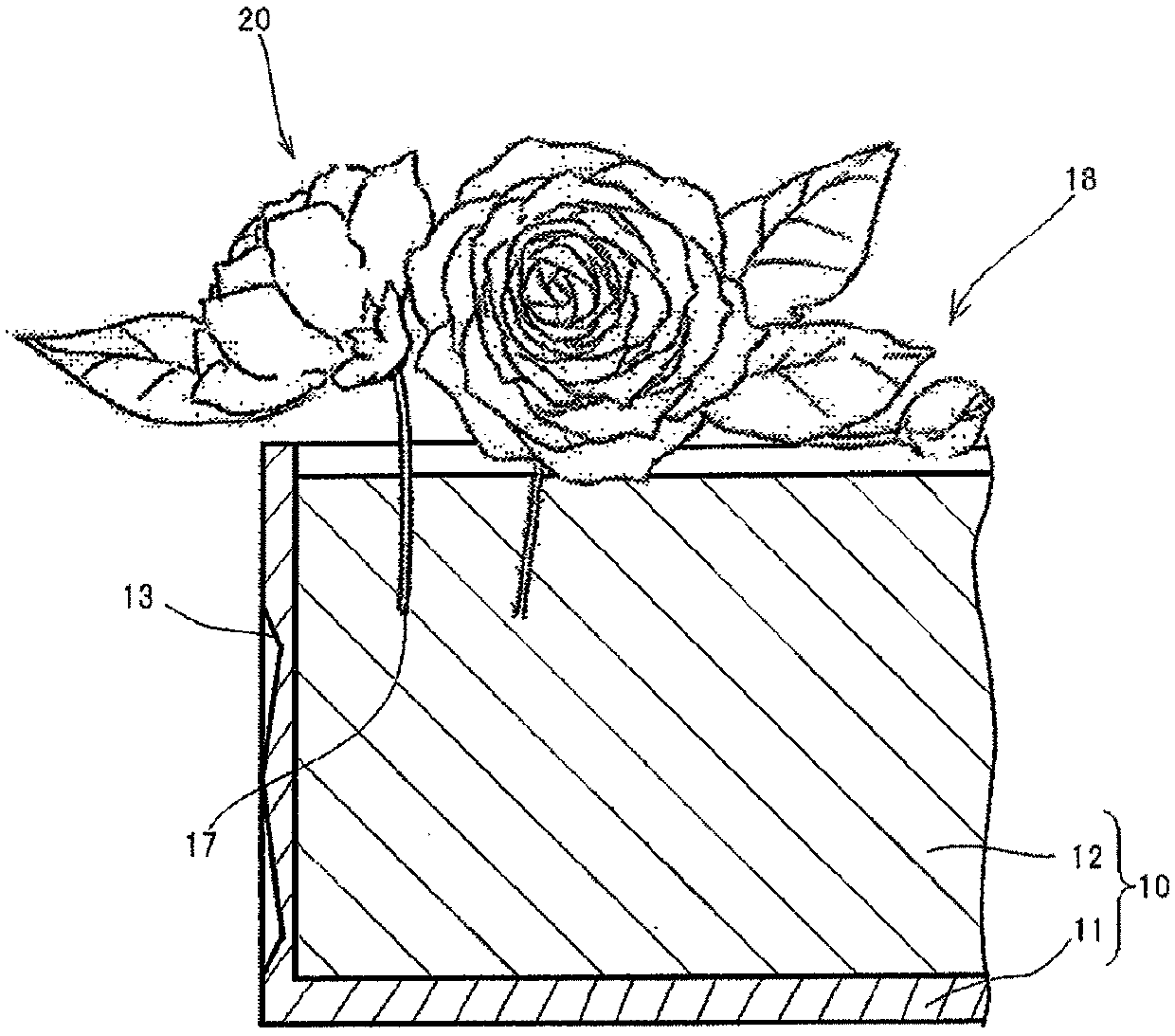 Flower holder, decorative tool and manufacturing method of flower holder