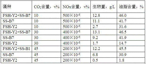 Method used for preparing grease via microalgae mixed cultivation