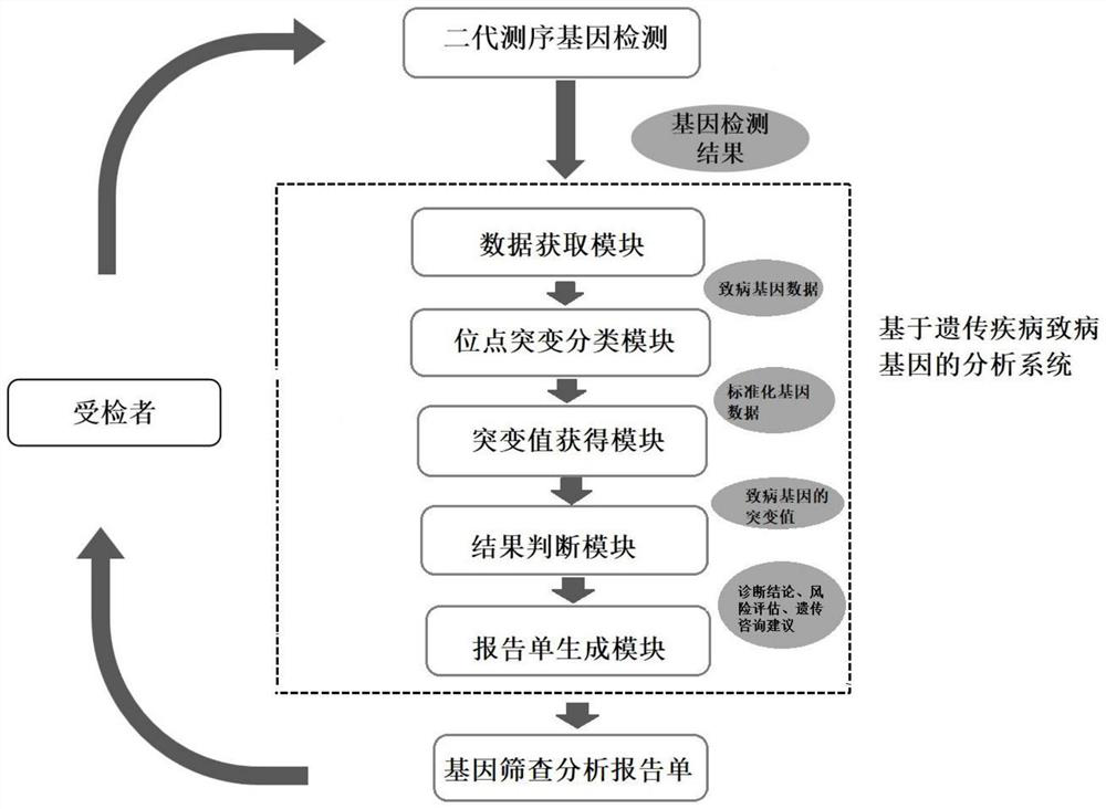 Analysis system based on genetic disease virulence genes and application thereof