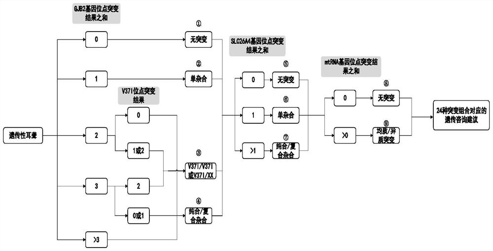 Analysis system based on genetic disease virulence genes and application thereof