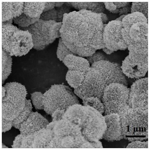 Visible light photocatalyst, modified PVDF ultrafiltration membrane and preparation method and application thereof