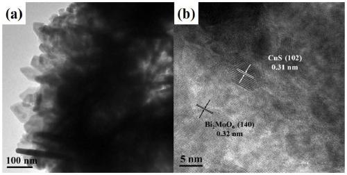 Visible light photocatalyst, modified PVDF ultrafiltration membrane and preparation method and application thereof