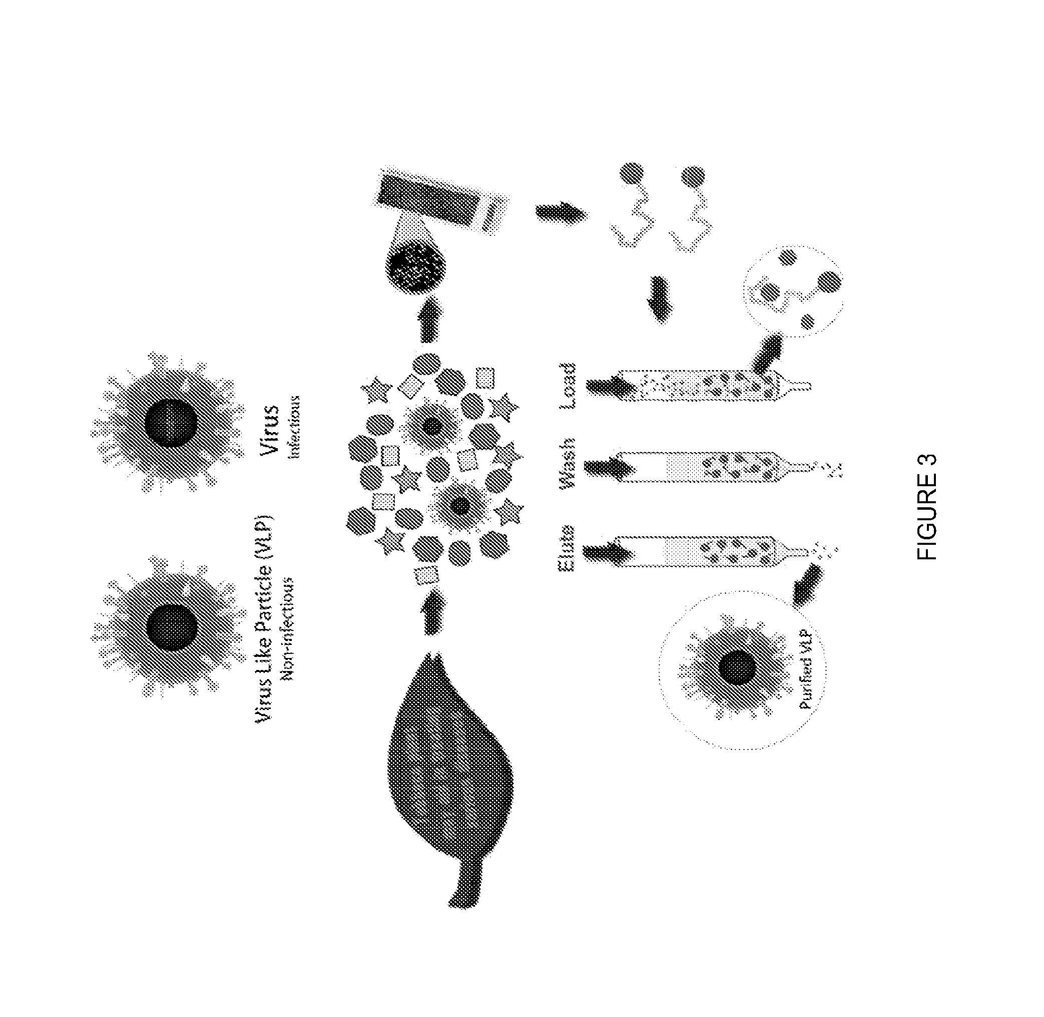 Peptide ligands