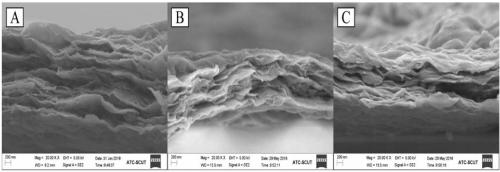 Bio-based high-efficiency flame-retardant paint with universality, preparation method and application thereof