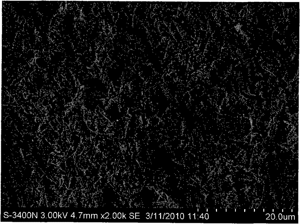 Composite light anode for dye-sensitized solar cell and preparation method thereof