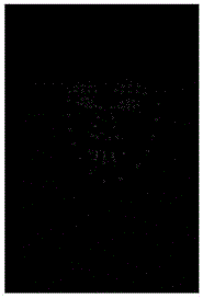 Double exposure fusion method and device for image