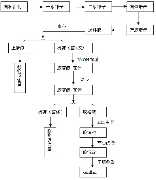 A kind of curd gum and preparation method thereof