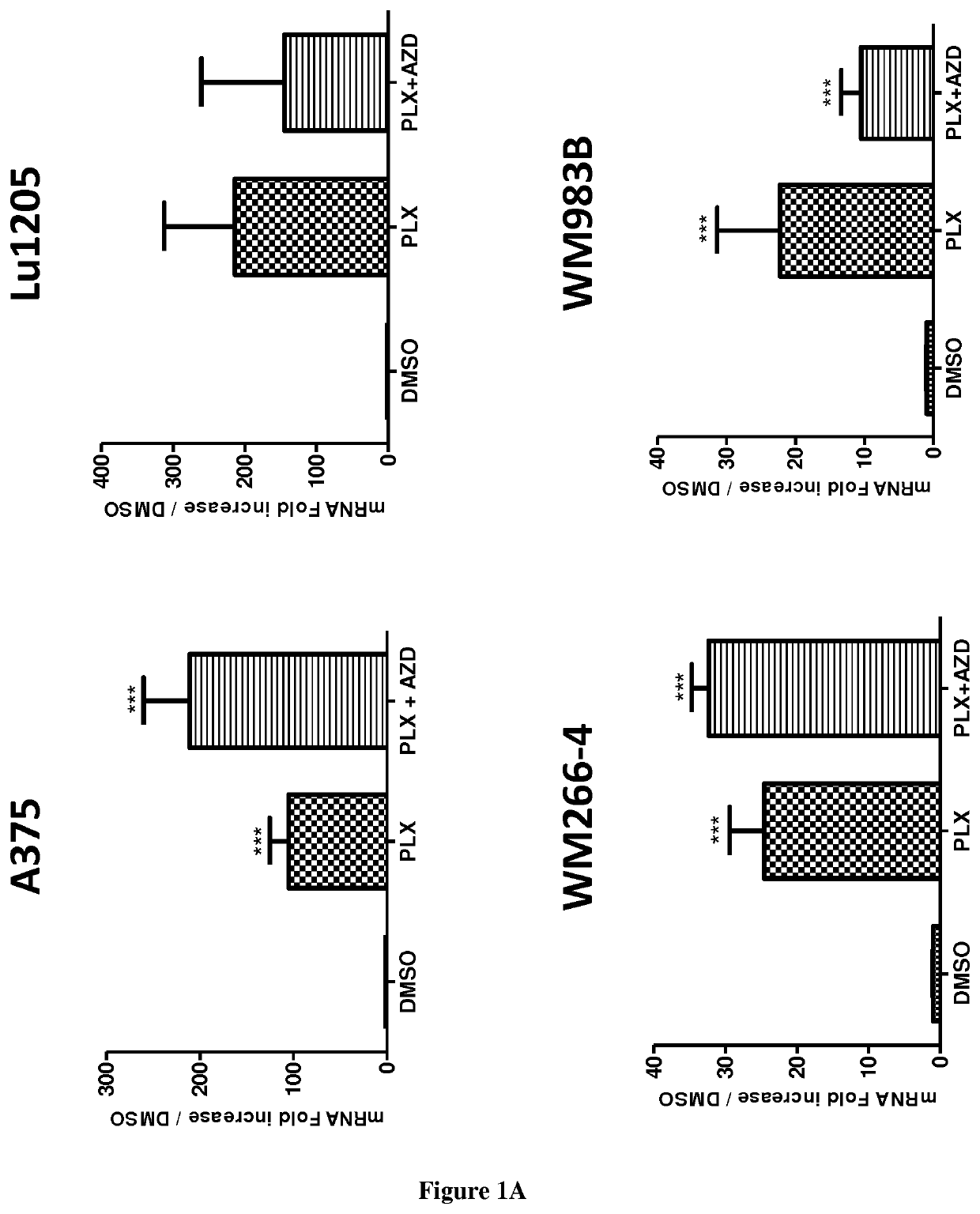 Methods and pharmaceutical compositions for the treatment of cancers associated with activation of the mapk pathway