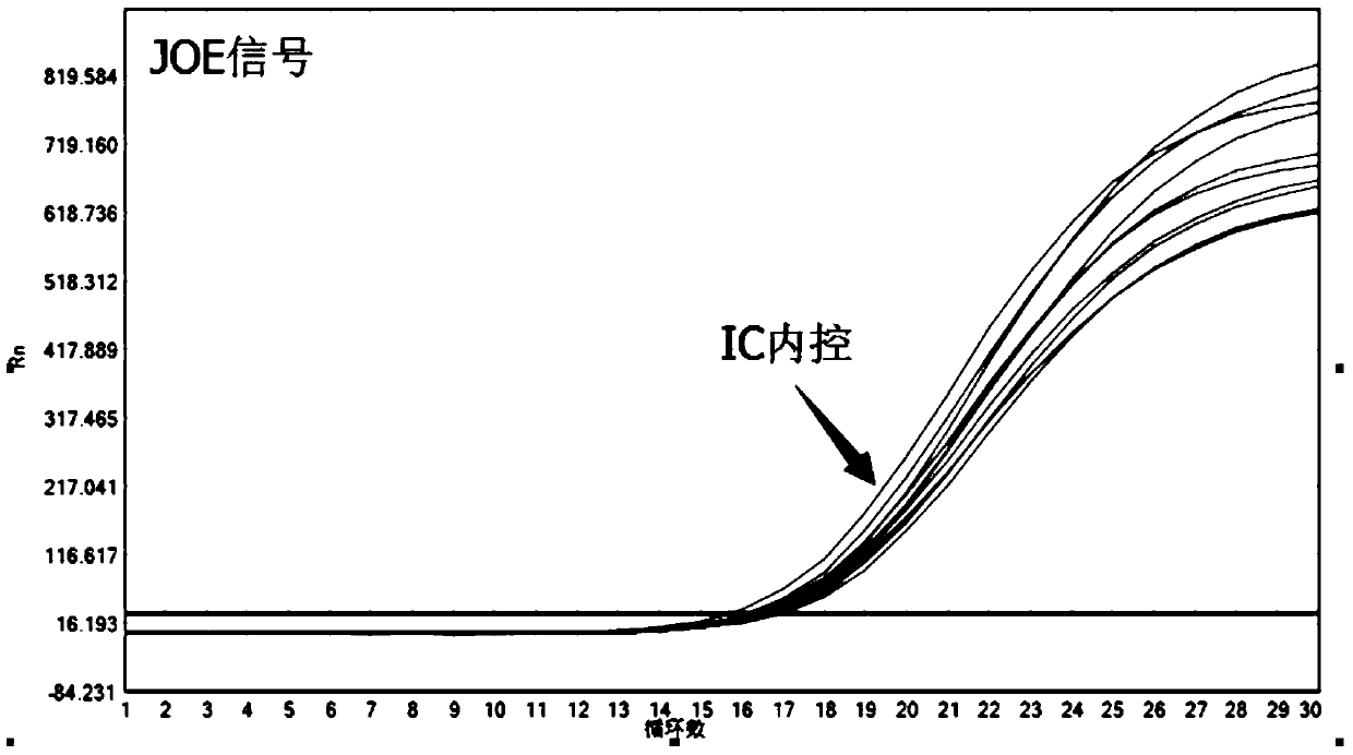 Probes, primers and kits for detecting five mutations of human pik3ca gene