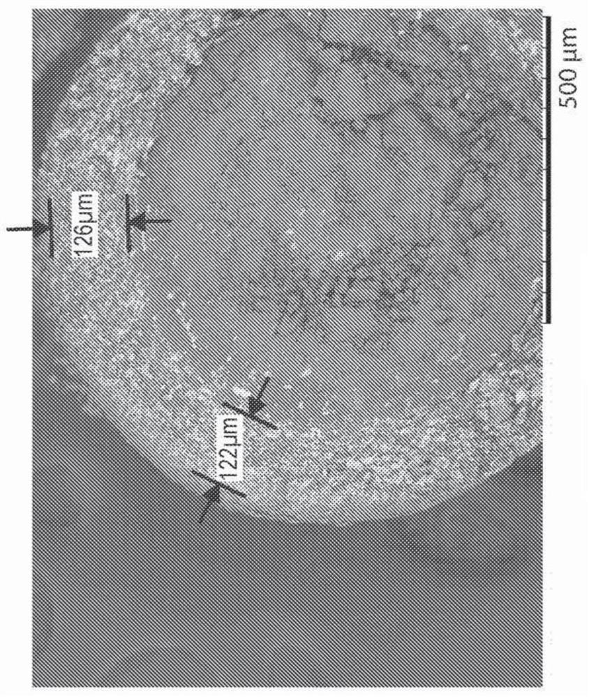 Formulations of L-ornithine phenylacetate