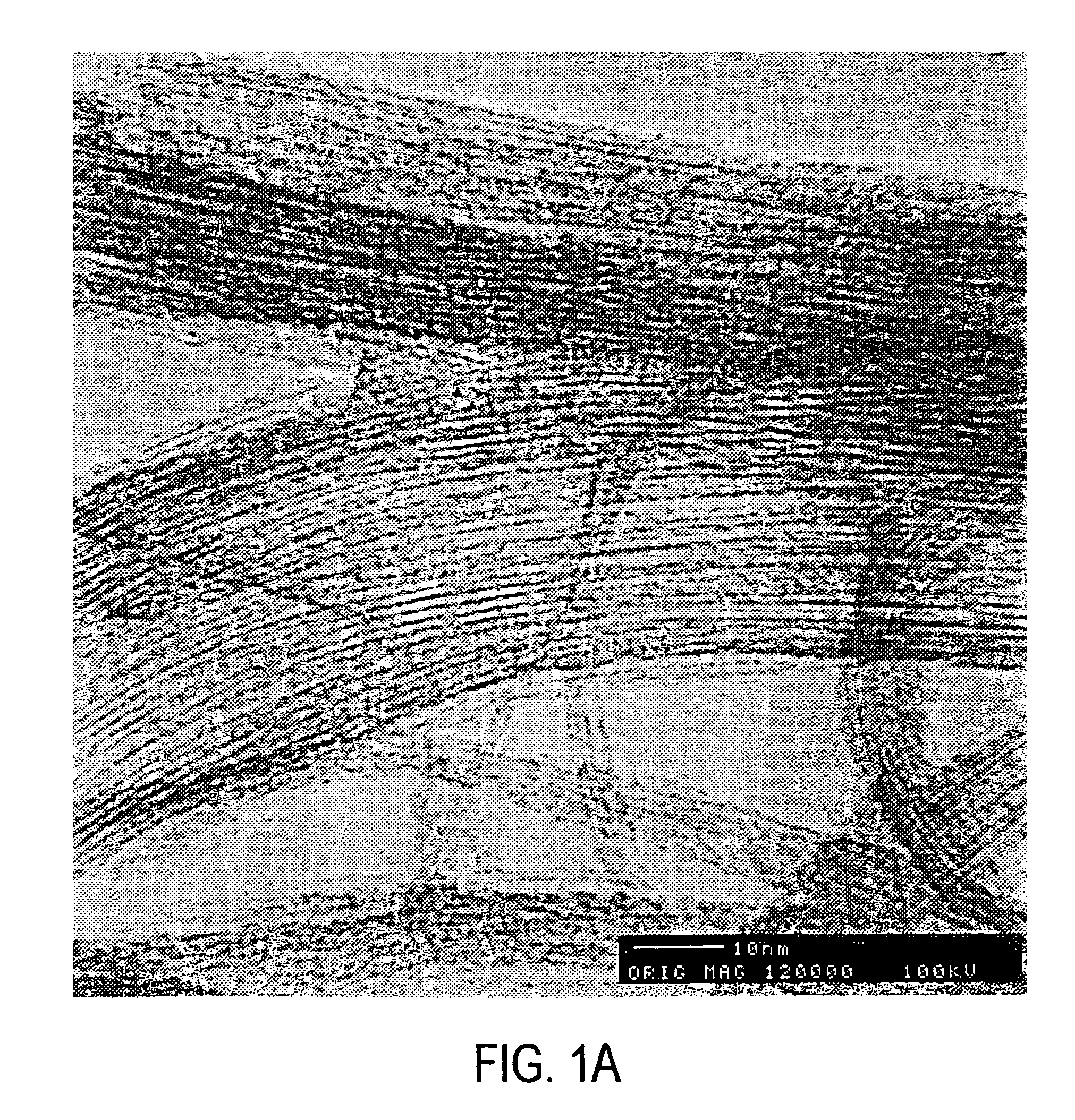 Sidewall derivatized carbon nanotubes