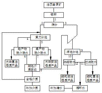 Process for full-particle-size sorting and enriching kerogen from oil shale