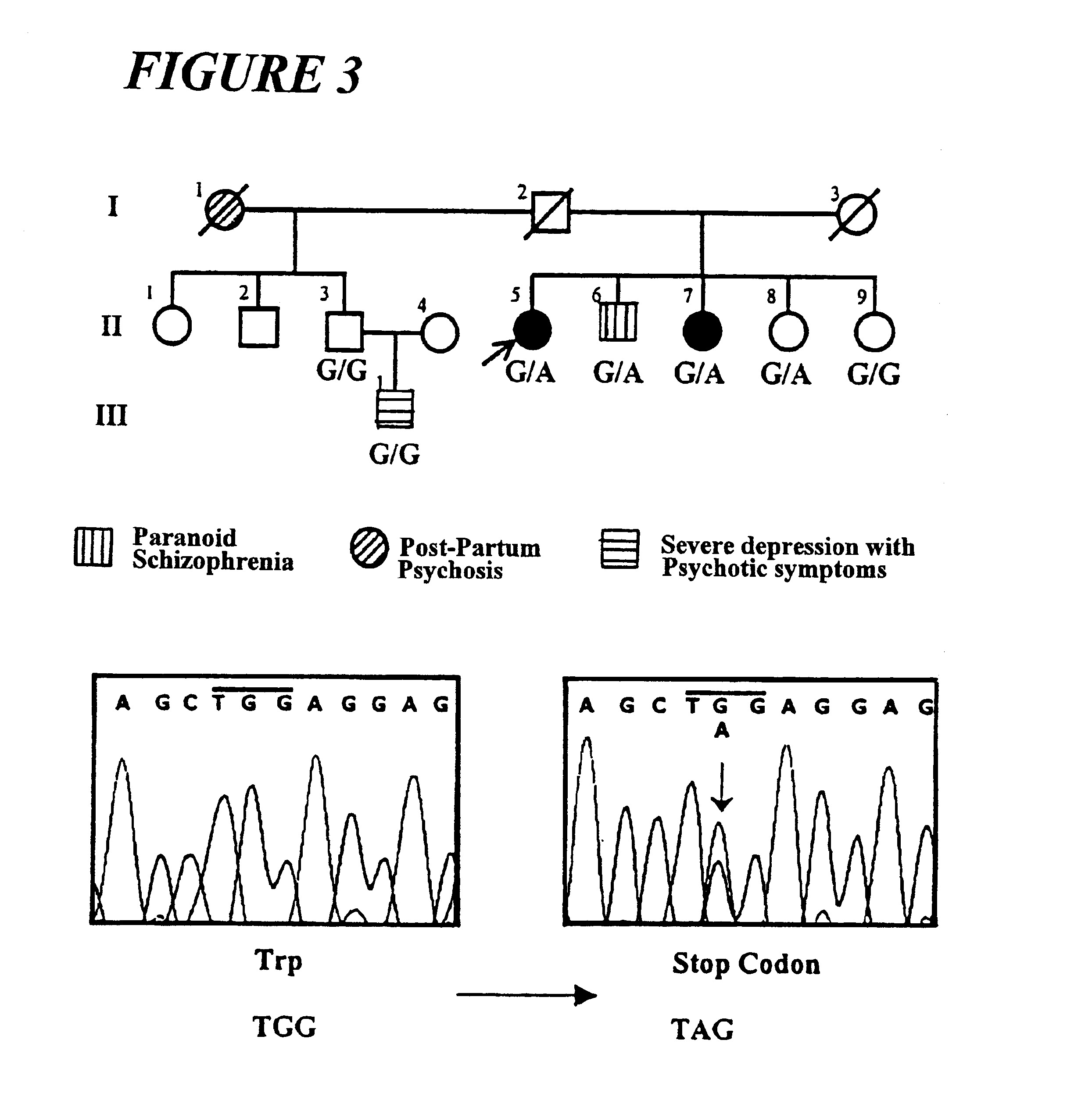 Primers for screening schizophrenia and a method thereof