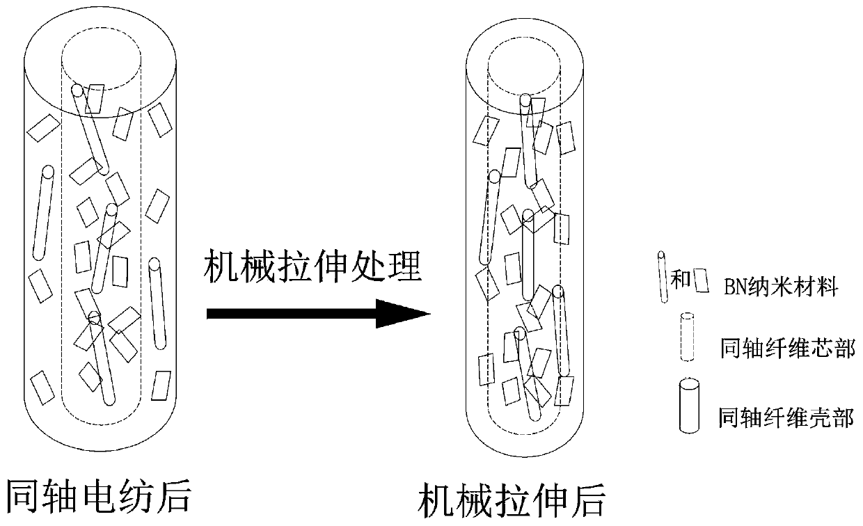 Preparation method of high-orientation communicated BN composite fiber material