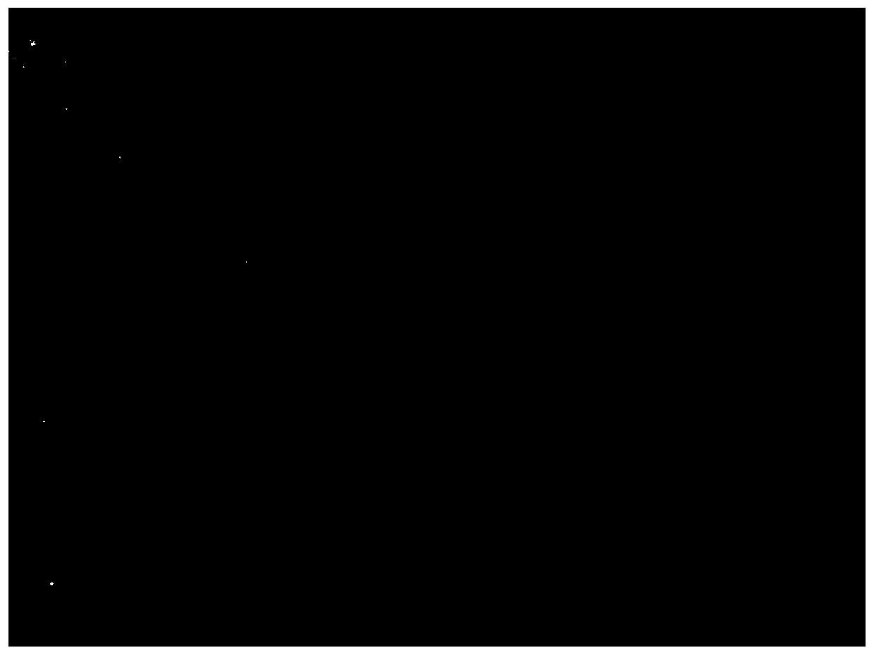 Preparation method of high-orientation communicated BN composite fiber material