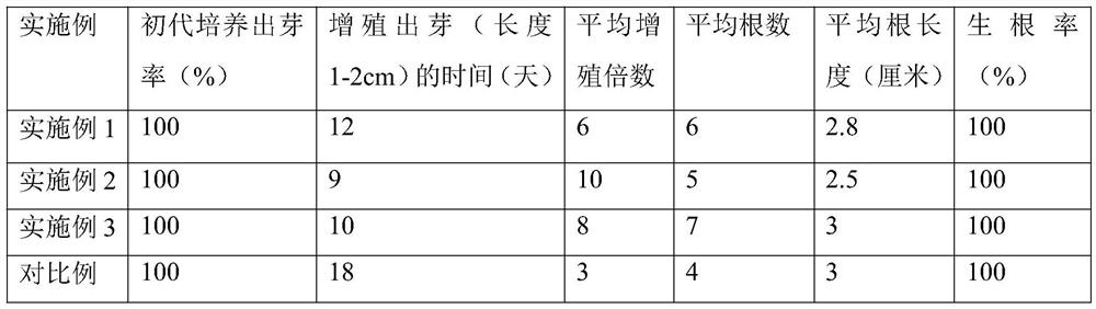 A kind of tissue culture method of ornamental aquatic plant Antarctica