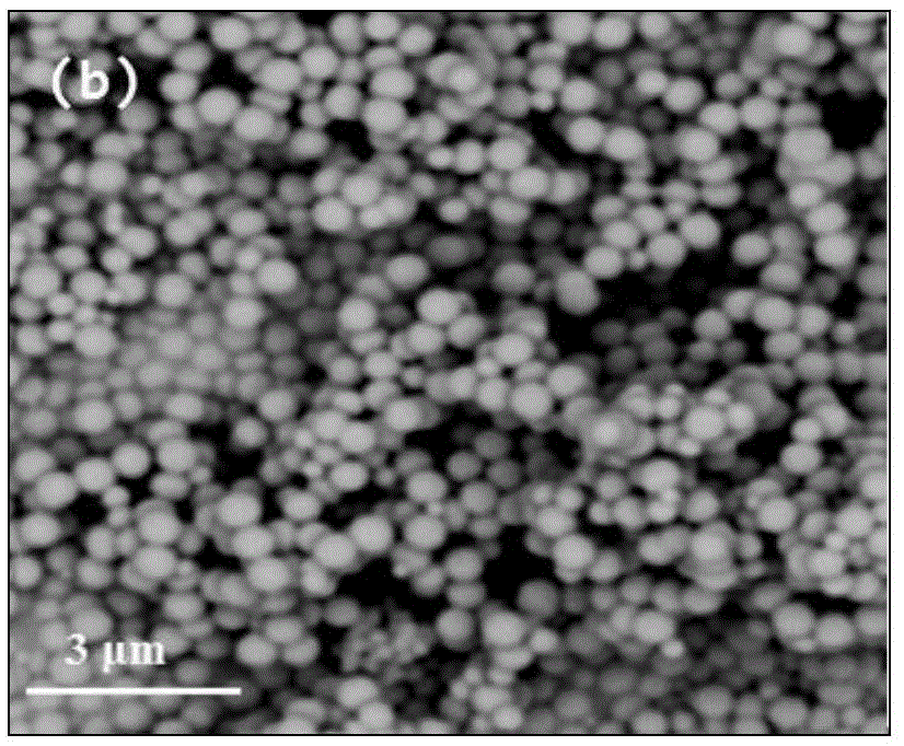 Composite magnetic nano-particle adsorbent and preparation method and application thereof