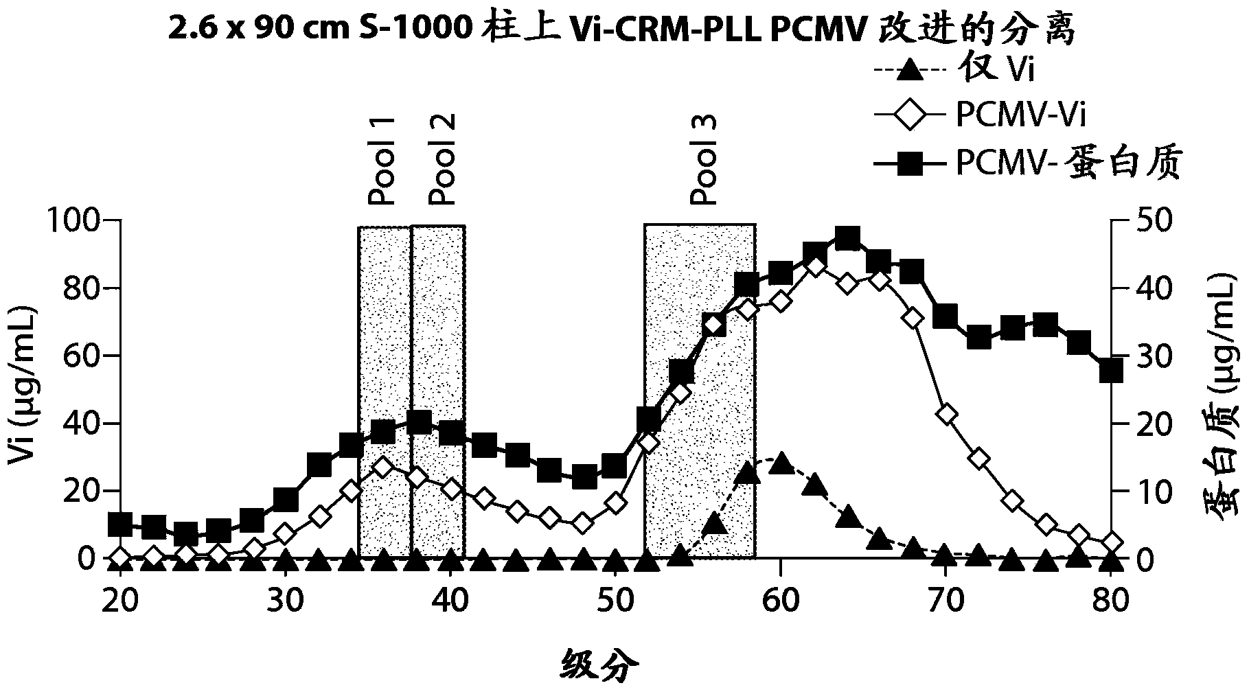 Protein matrix vaccine compositions including polycations