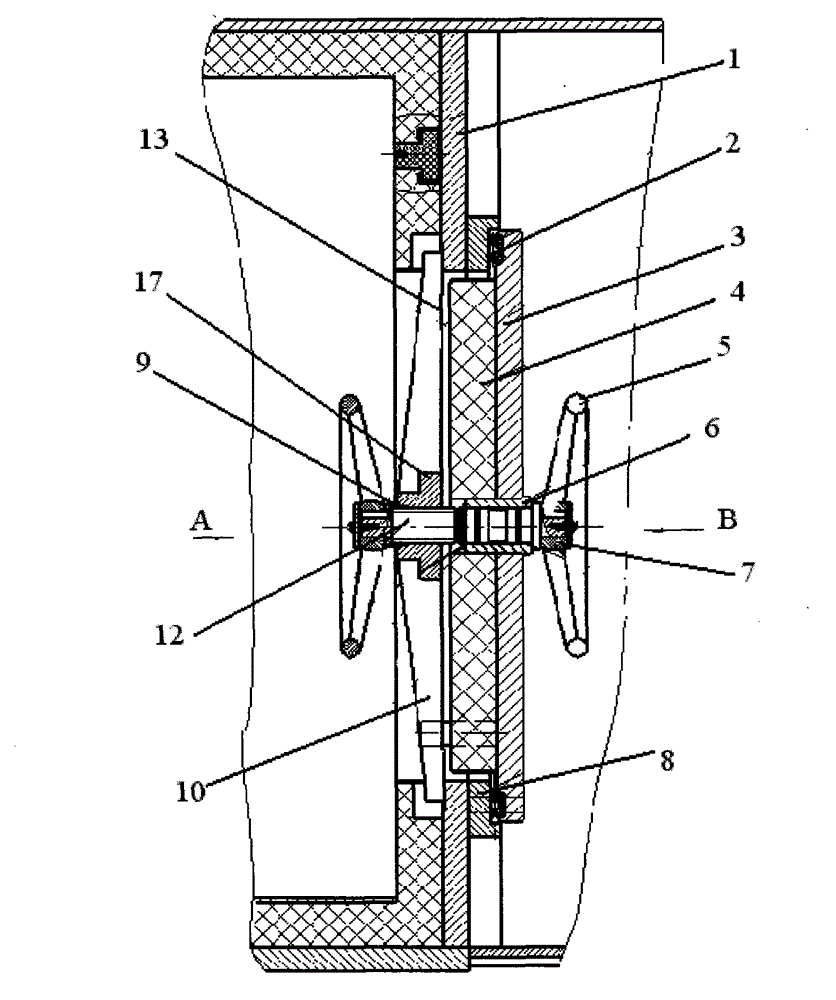 Movable hard rescue capsule emergency door