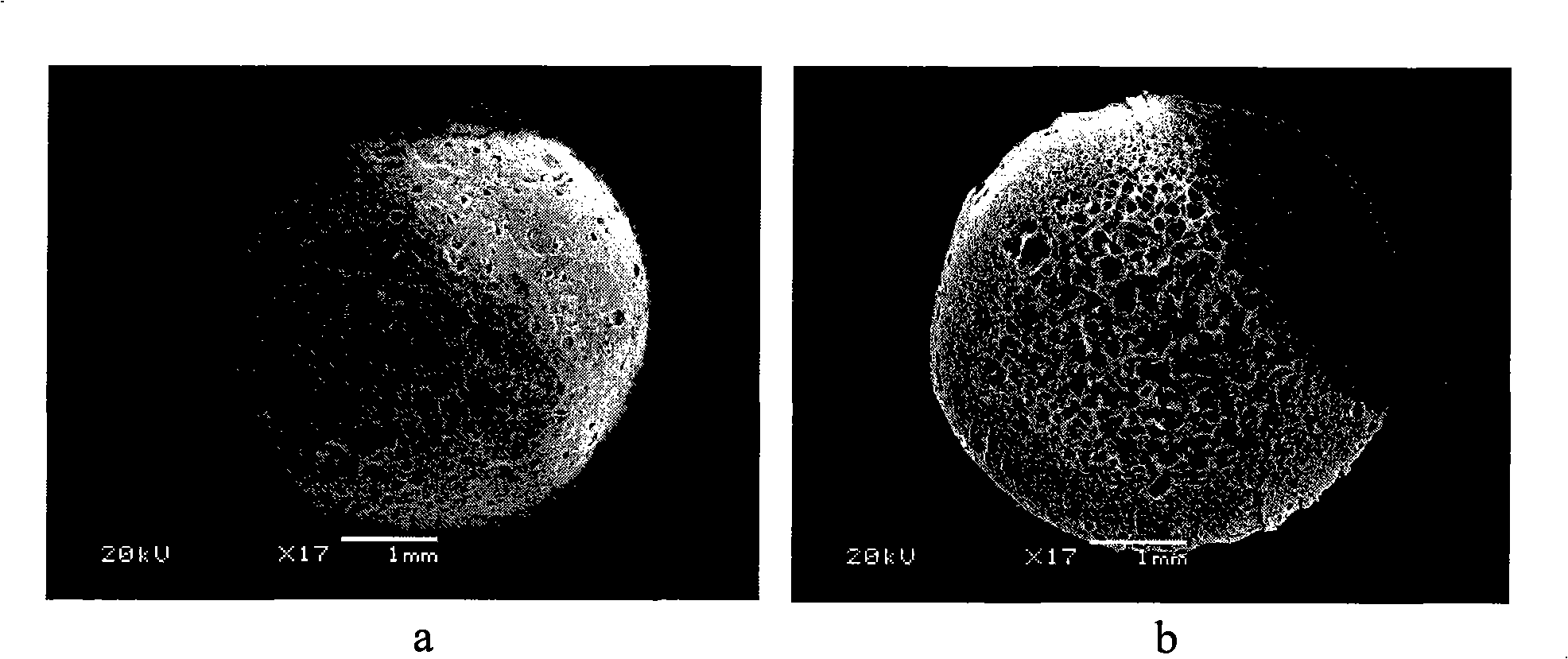 Macroreticular polyvinyl alcohol bead carrier and preparation thereof