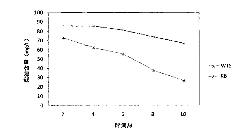 Bacterial strain capable of degrading petroleum hydrocarbon and application thereof