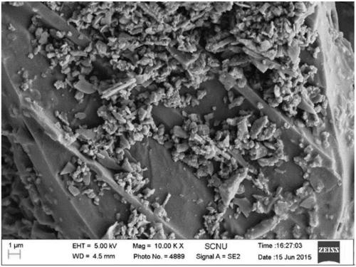 Preparation and application of a heavy metal cadmium contaminated soil remediation material