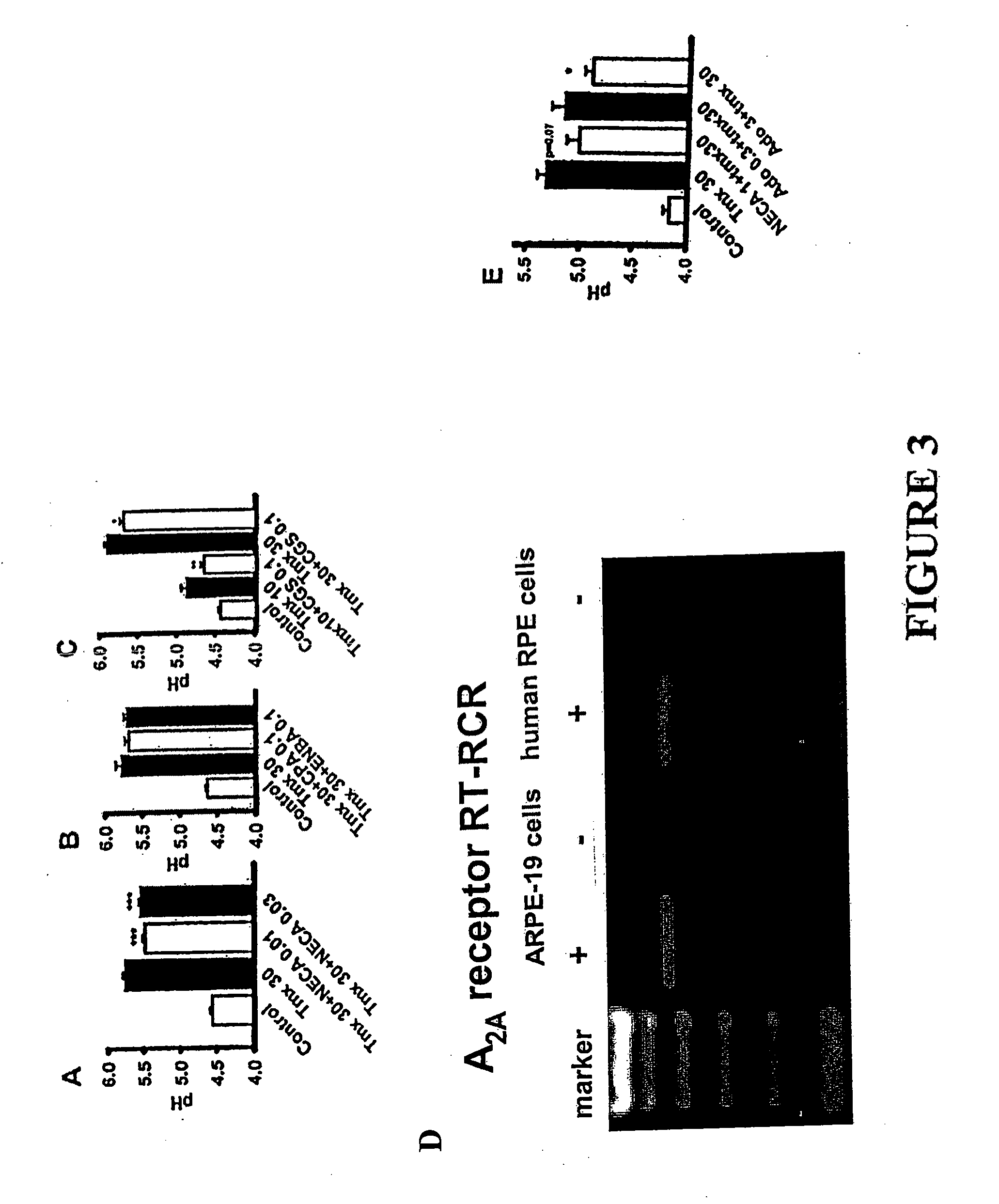 Method for Treatment of Macular Degeneration