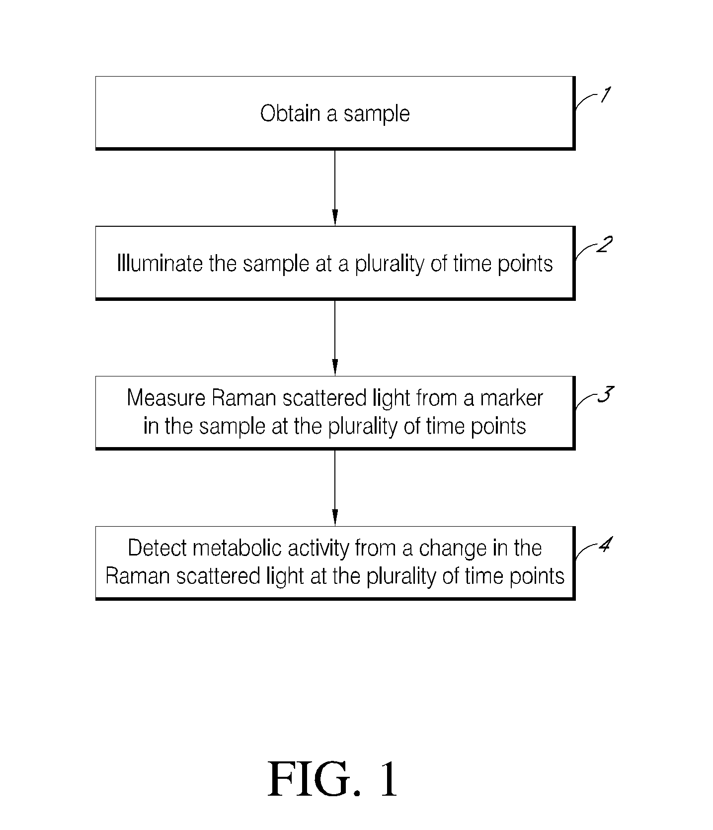 Rapid detection of metabolic activity