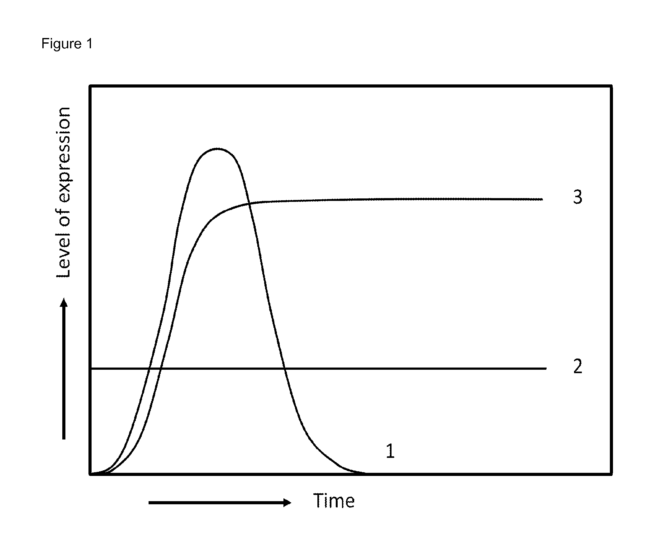 Method for the expression of a recombinant protein in a mammalian cell