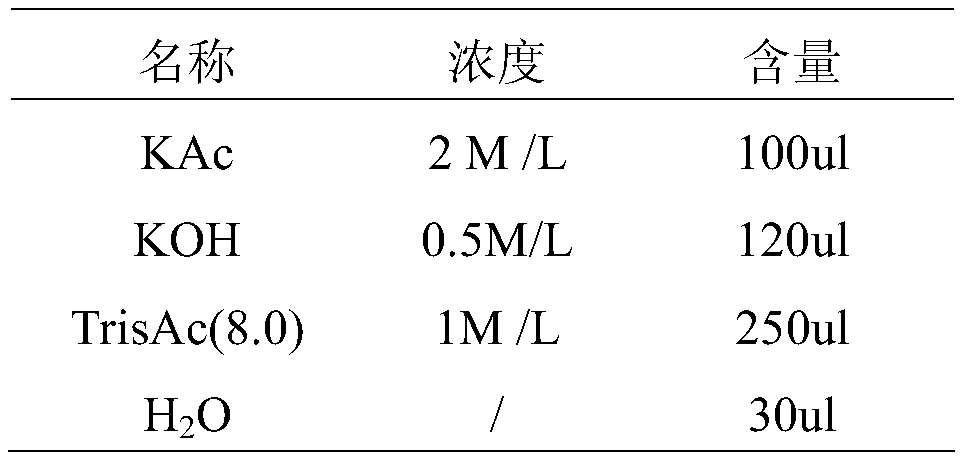 Canine parvovirus nucleic acid rapid detection kit