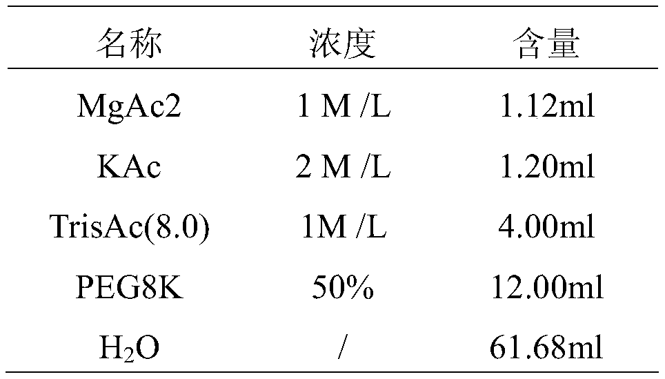 Canine parvovirus nucleic acid rapid detection kit