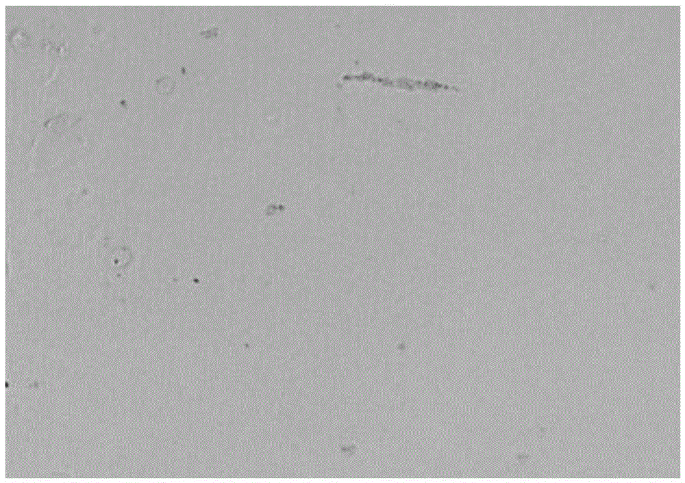 Method for increasing laser-damaged threshold through ion beam elastic domain etching