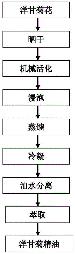 Method for improving extraction rate of chamomilia essential oil