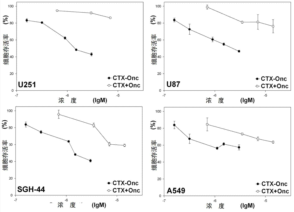 An anti-tumor targeting complex and a preparation method and applications thereof