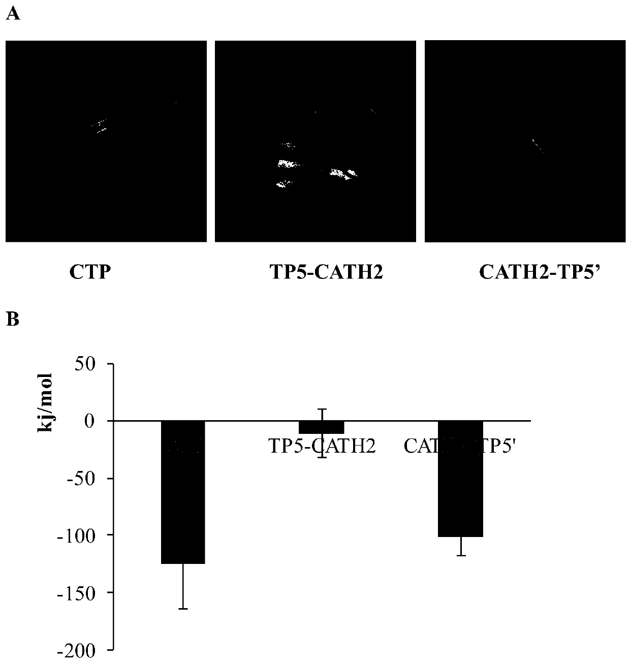 Hybrid peptide with immunomodulatory and anti-inflammatory functions and preparation method and application thereof