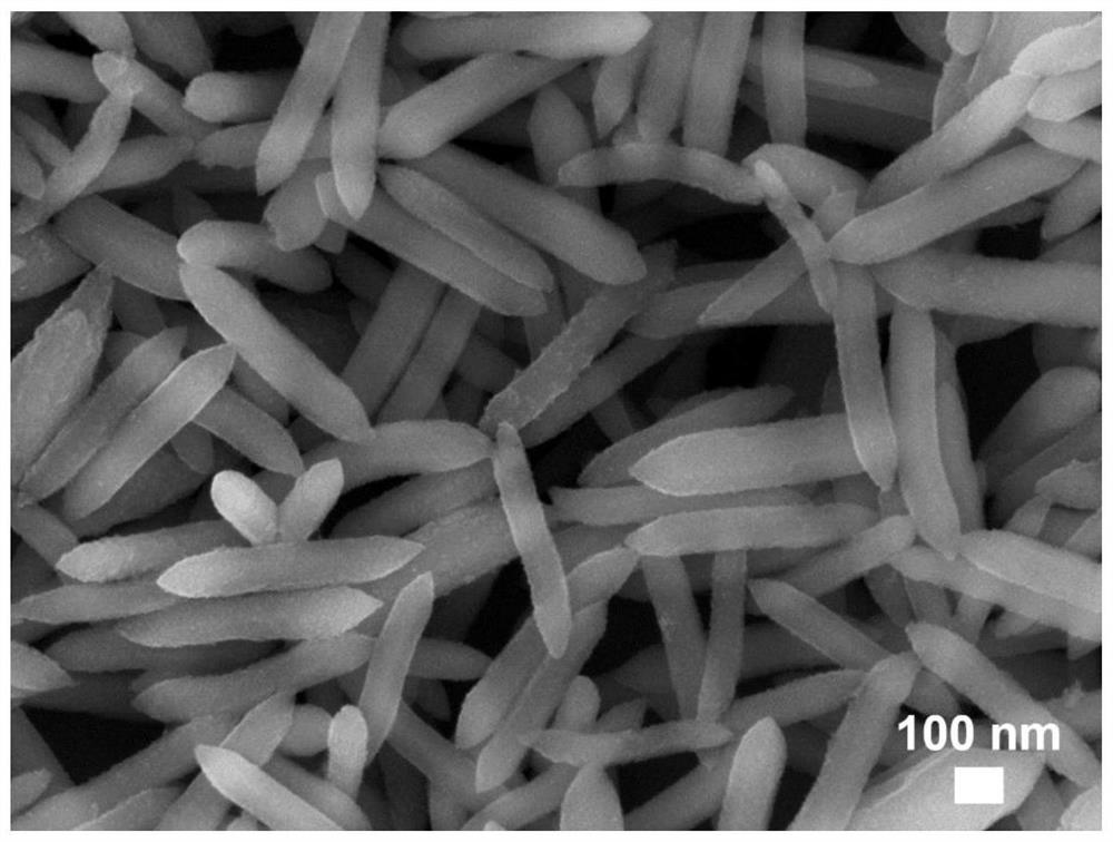 Gas-sensitive nano material based on carbon particle modified mesoporous iron oxide nanorod structure as well as preparation process and application of gas-sensitive nano material