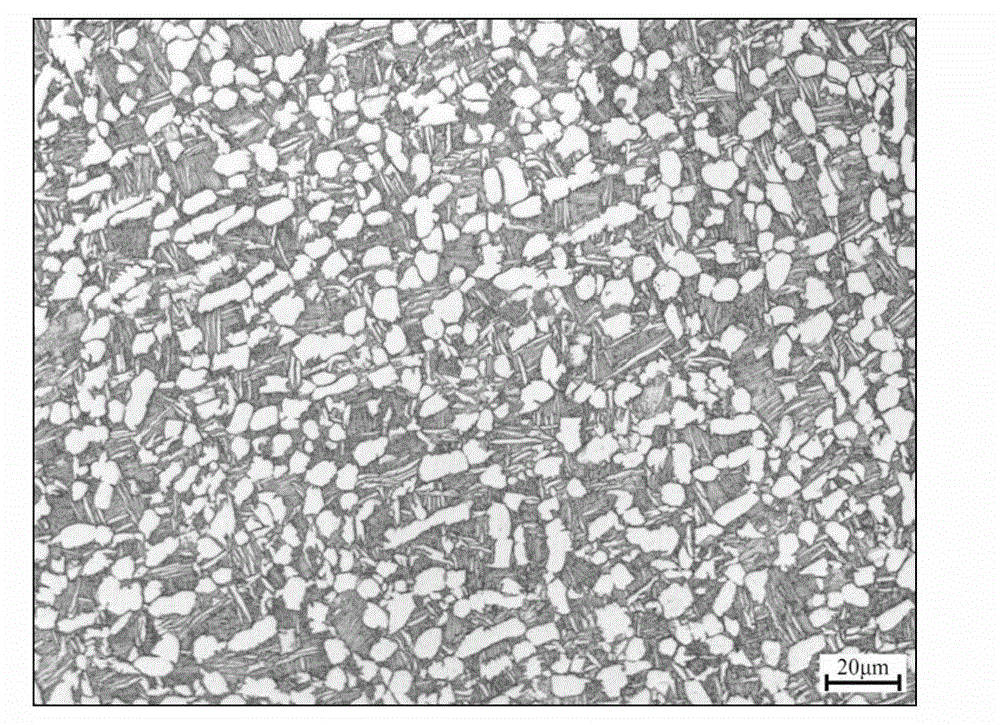 Machining method for improving obdurability of two-phase titanium alloy large-size bar