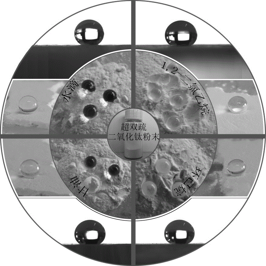 Preparation method of universal super-amphiphobic nano coating based on flower shape titanium dioxide nano particles