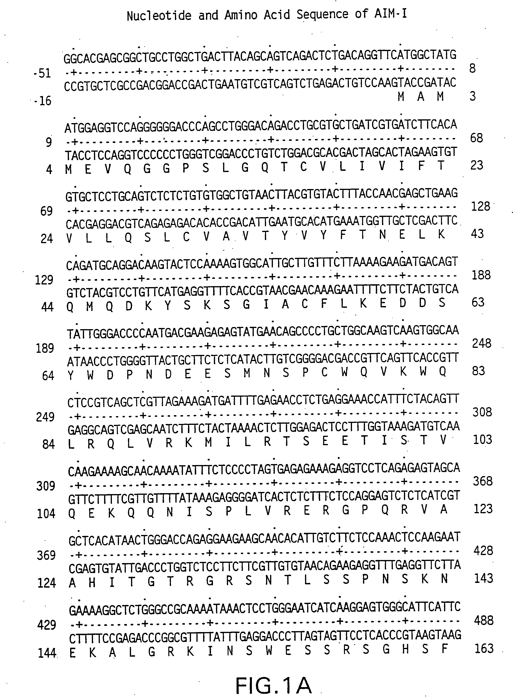 Apoptosis inducing molecule I